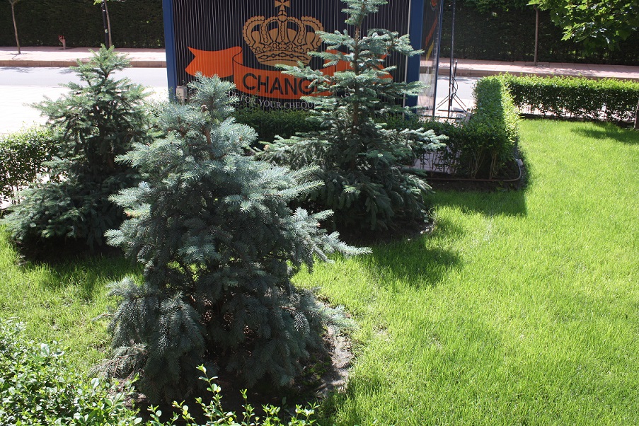 Болгария отели_2012 1480.jpg
